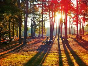 Picnic tables, where working people once ate meals on days off known as "weekends"